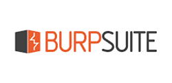 Burpsuite